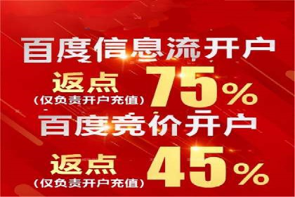 成功案例解析：SEM竞价托管运营策略